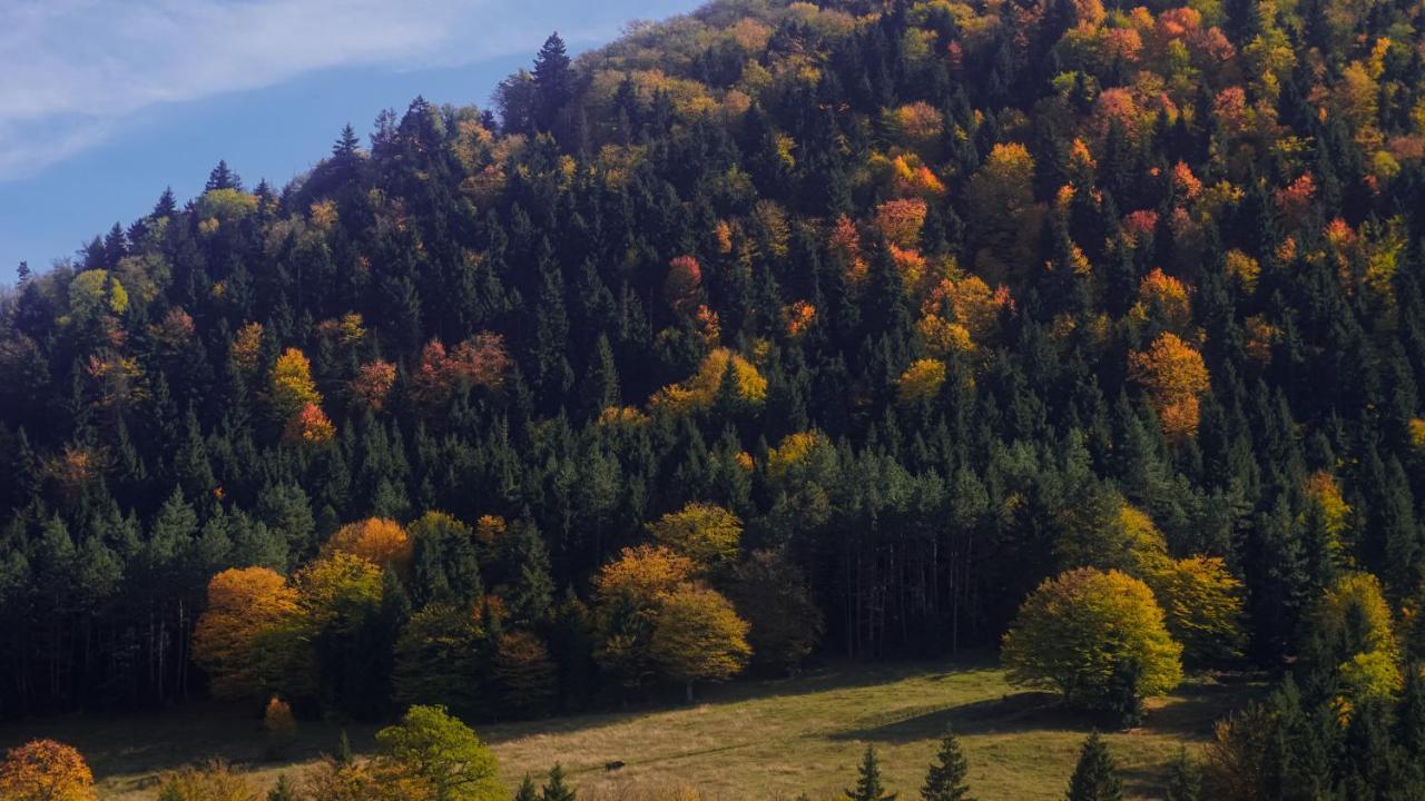 Landhaus Боржоми Екстериор снимка