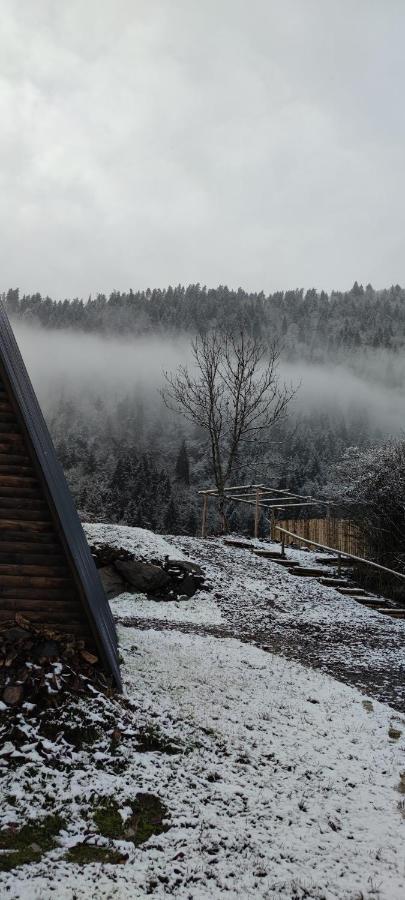 Landhaus Боржоми Екстериор снимка