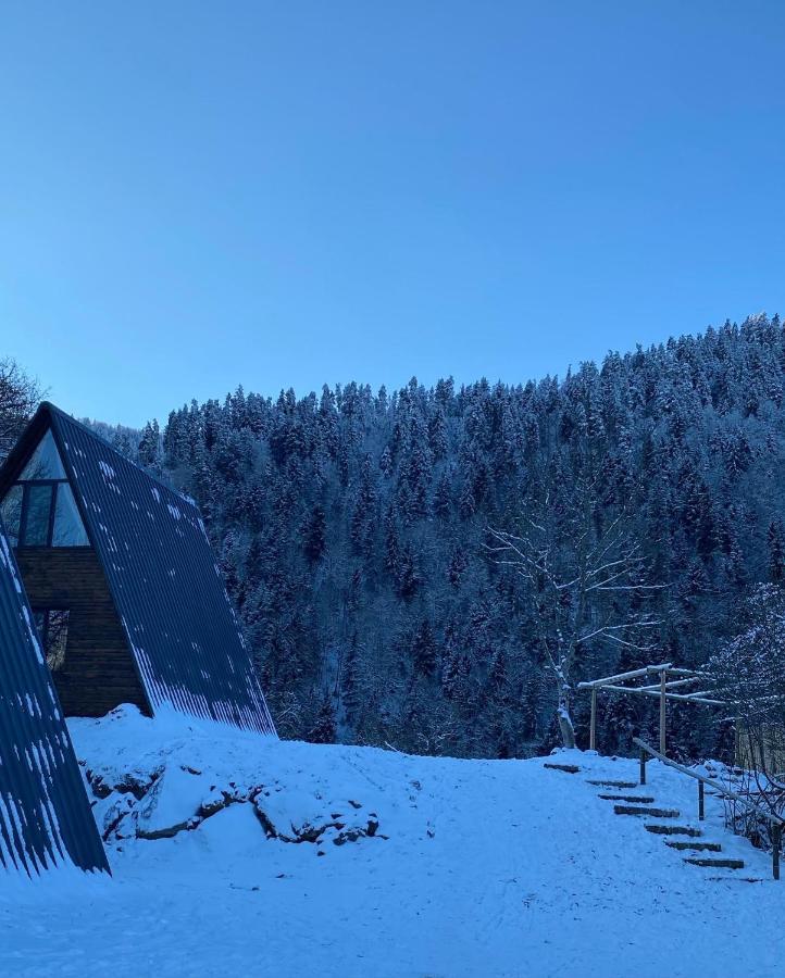 Landhaus Боржоми Екстериор снимка