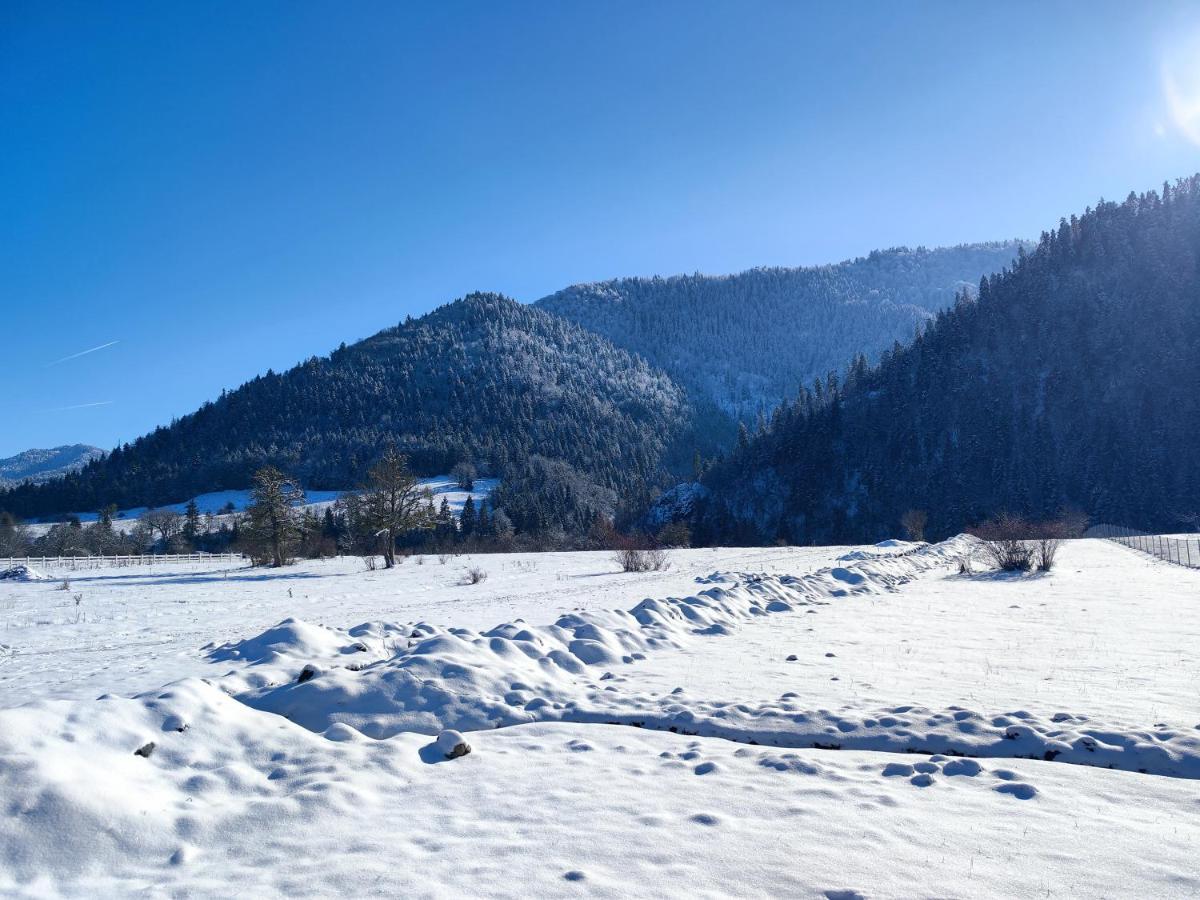 Landhaus Боржоми Екстериор снимка