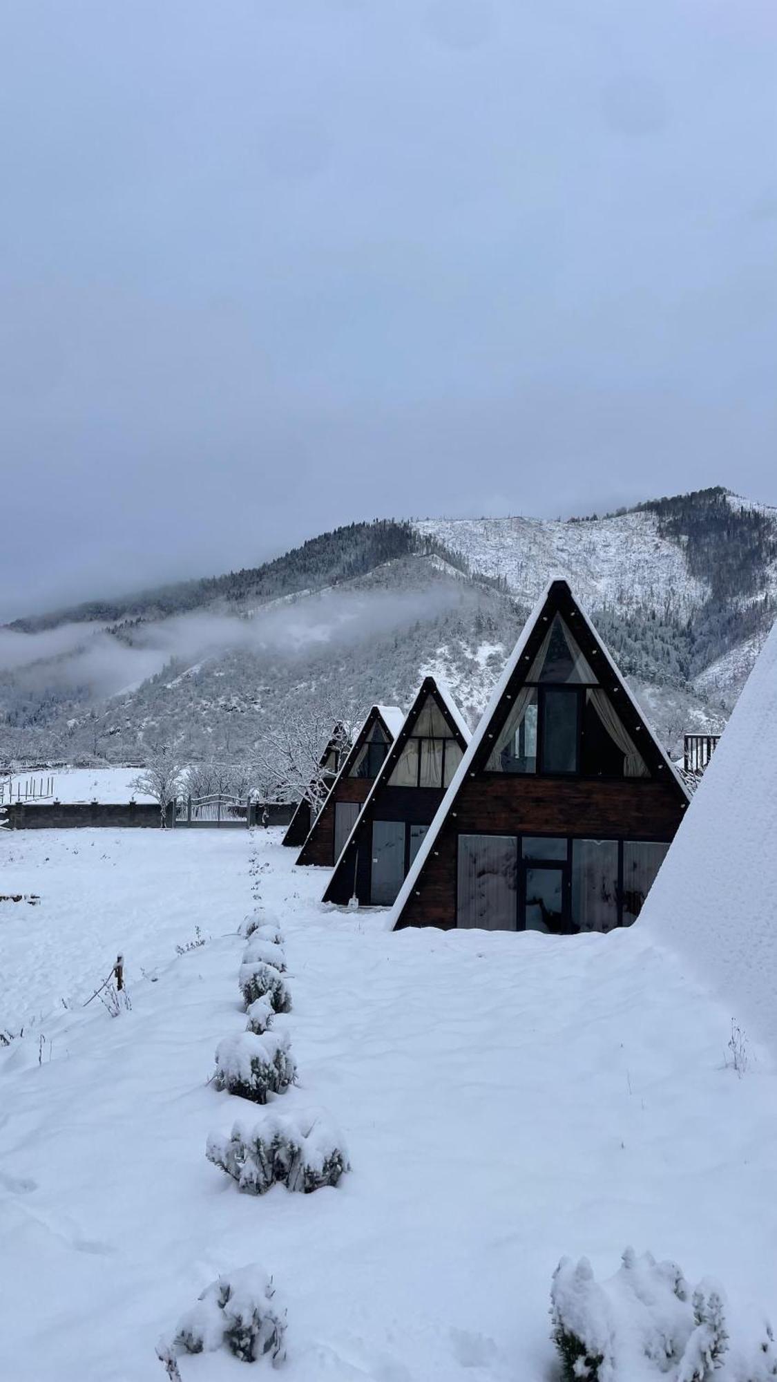 Landhaus Боржоми Екстериор снимка