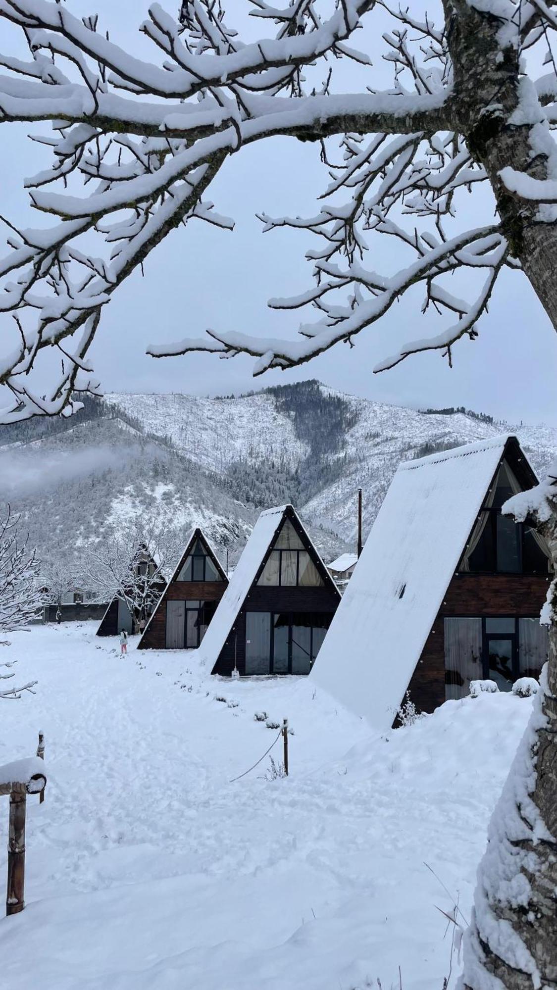 Landhaus Боржоми Екстериор снимка