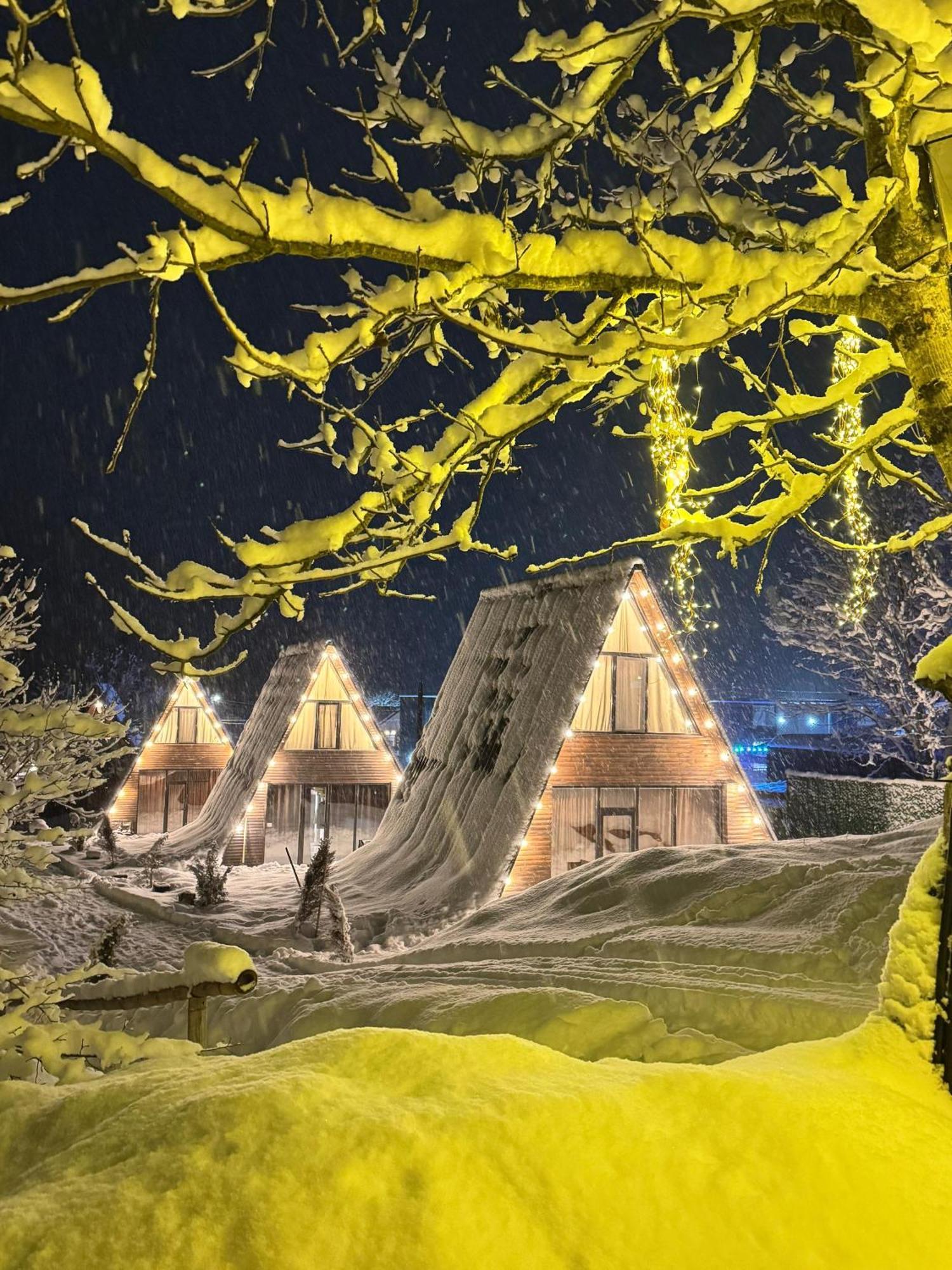 Landhaus Боржоми Екстериор снимка